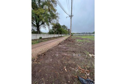 extra_large_645d54de7ac8a